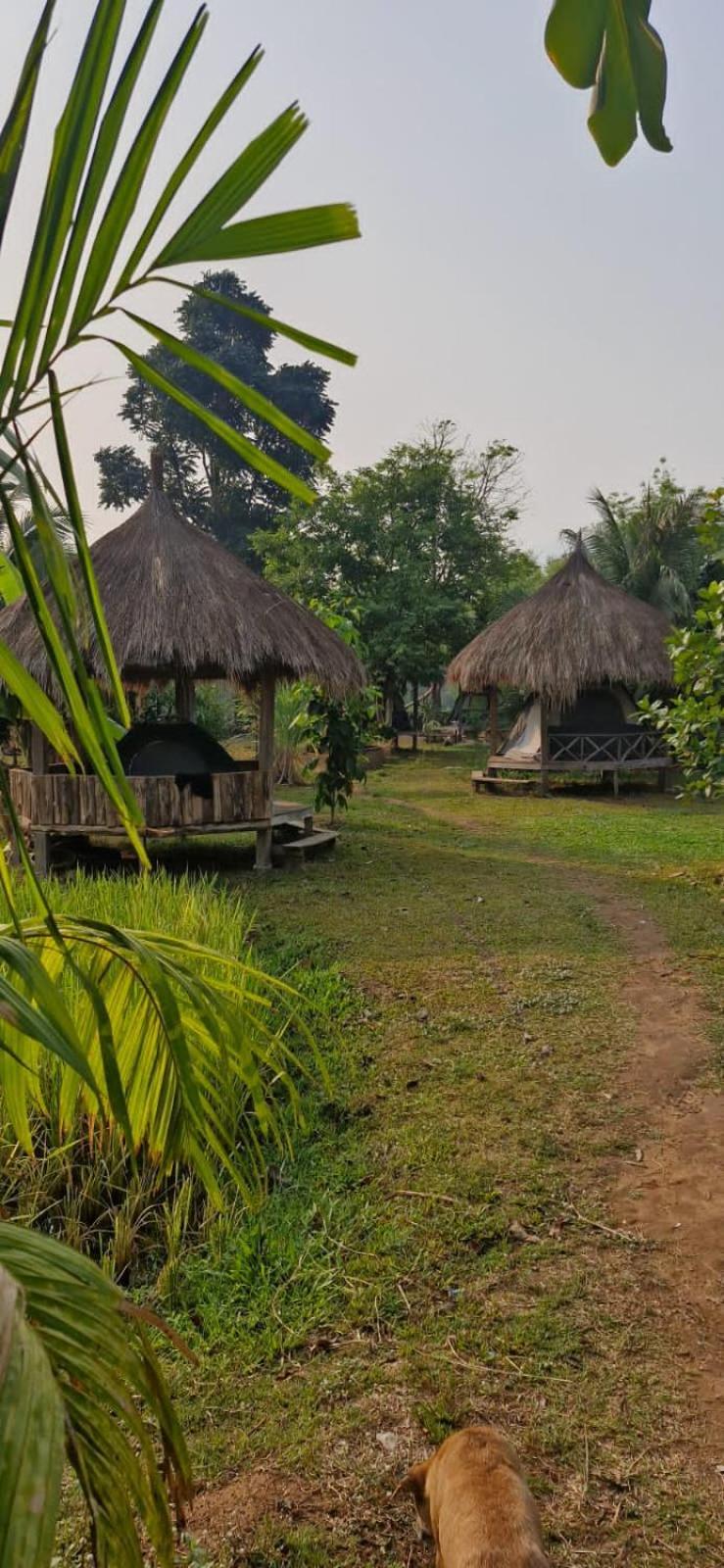 Bolaven Garden Bungalow And Tent - Tad Lo Ban Kiangtat Eksteriør bilde