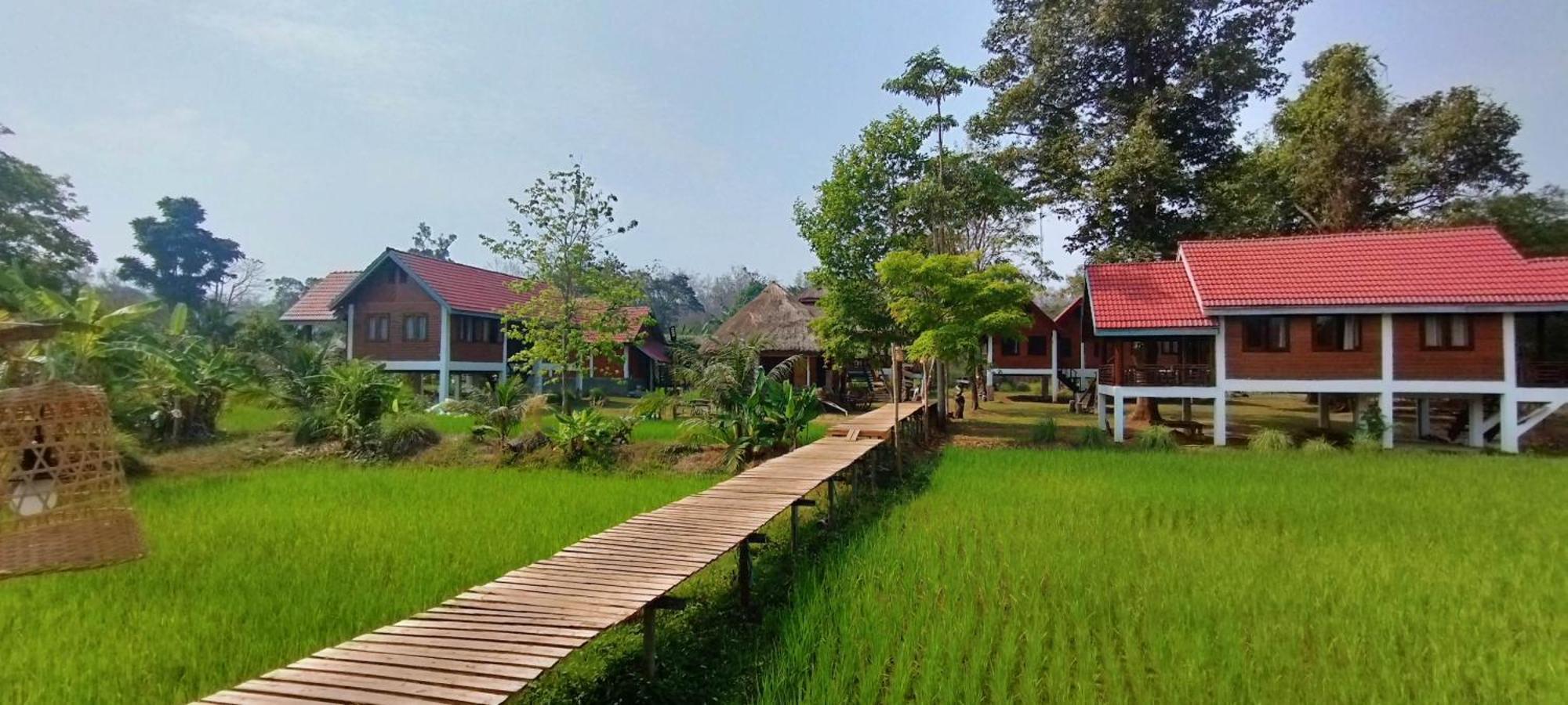 Bolaven Garden Bungalow And Tent - Tad Lo Ban Kiangtat Eksteriør bilde