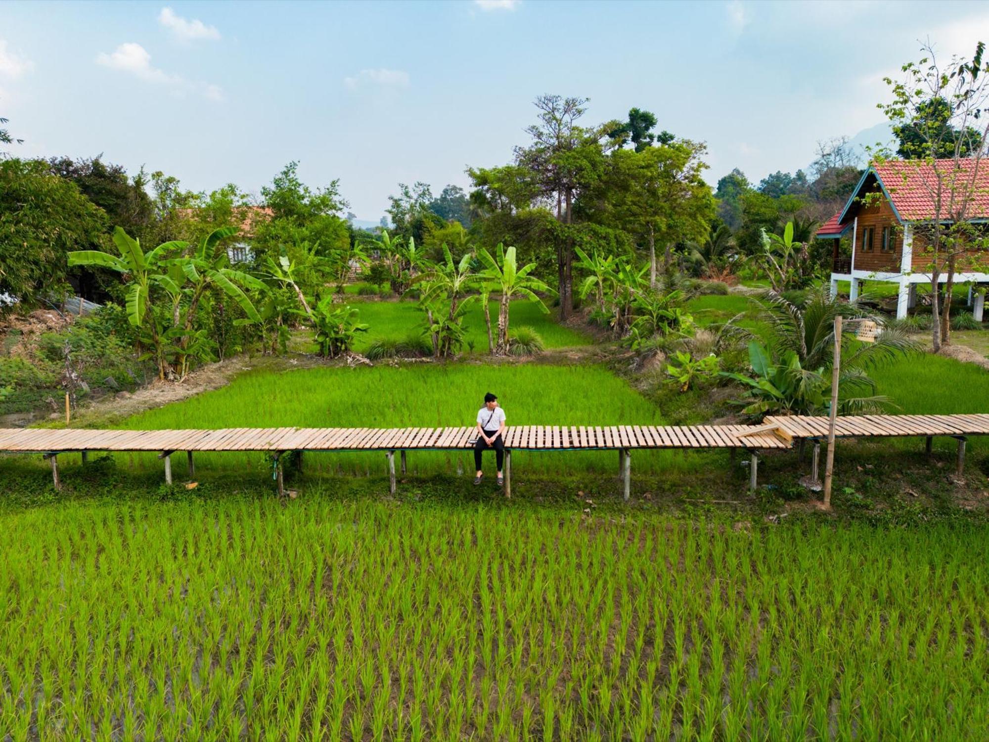 Bolaven Garden Bungalow And Tent - Tad Lo Ban Kiangtat Eksteriør bilde