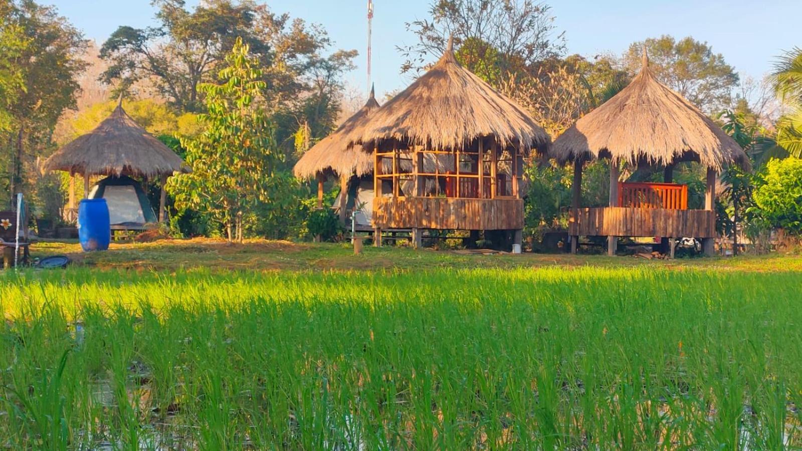 Bolaven Garden Bungalow And Tent - Tad Lo Ban Kiangtat Eksteriør bilde